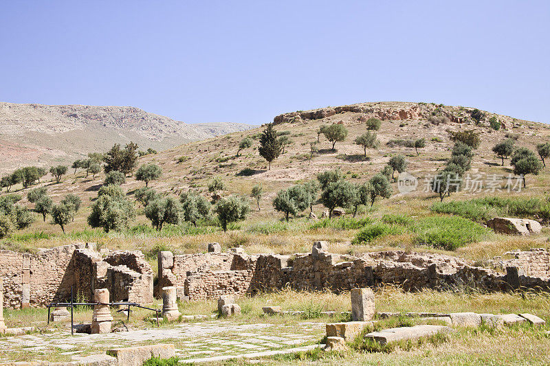 突尼斯:Bulla rega罗马遗址的设置